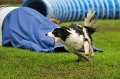 2013-05-19 um 13-40-12 (1)